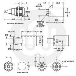 Plunger Lock 2