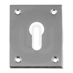 Large Euro Repair Escutcheon for Timber