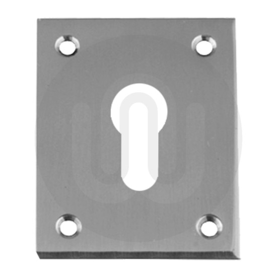 Large Euro Repair Escutcheon for Timber