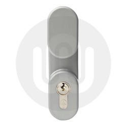 Outside Access Device with Knob