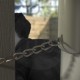 AIM™ Forensic Security System AIM™ Forensic Security System