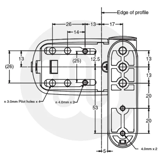 Avocet Flag Hinge - Mini