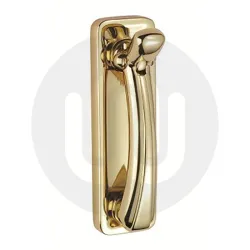 Classical Door Knocker on Backplate