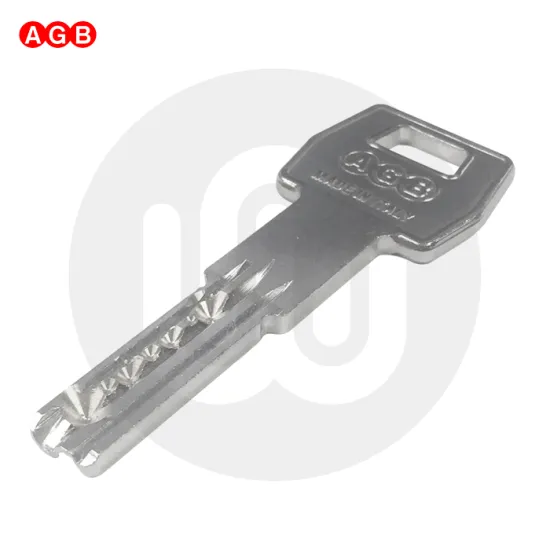 AGB Scudo 7000 7-Pin Keys Cut To Code