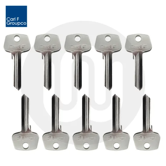 Standard Euro Cylinder Key Blanks - Pack of 10