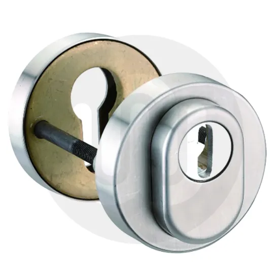 Security Escutcheon
