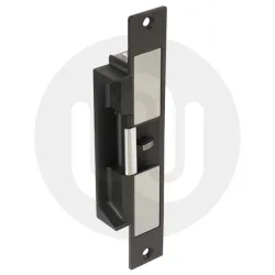 Electric Monitored Strike