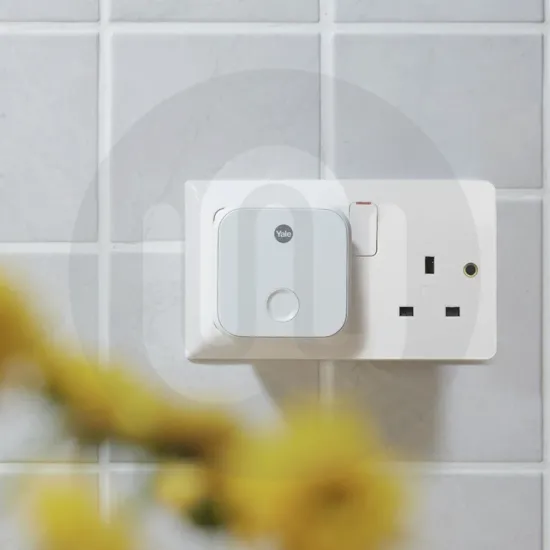 Yale Conexis L2 British Standard Smart Lock with Access Module and Hub