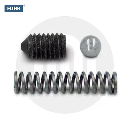 Fuhr Case Spring & Ballbearing Kit