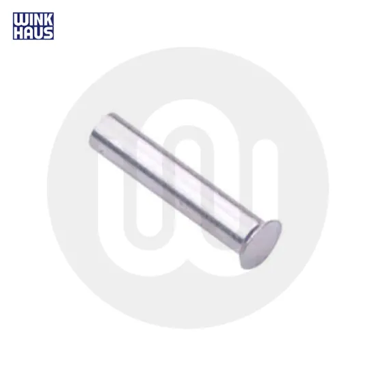 Winkhaus MPL Gearbox Case Rivet Pin