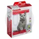 Catwalk® by Pet-Tek International W-MCDB / W-MCDW Wood Fitting Multi-Magnetic Cat Door