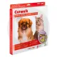 Catwalk® by Pet-Tek International G-SDDC / G-SDDW Glass Fitting Maxi Dual Glaze Pet Door