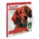 Dogwalk® by Pet-Tek International G-DDC Glass Fitting Dog Door