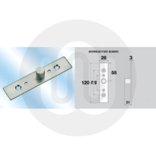 Overhead Pivot Bearing